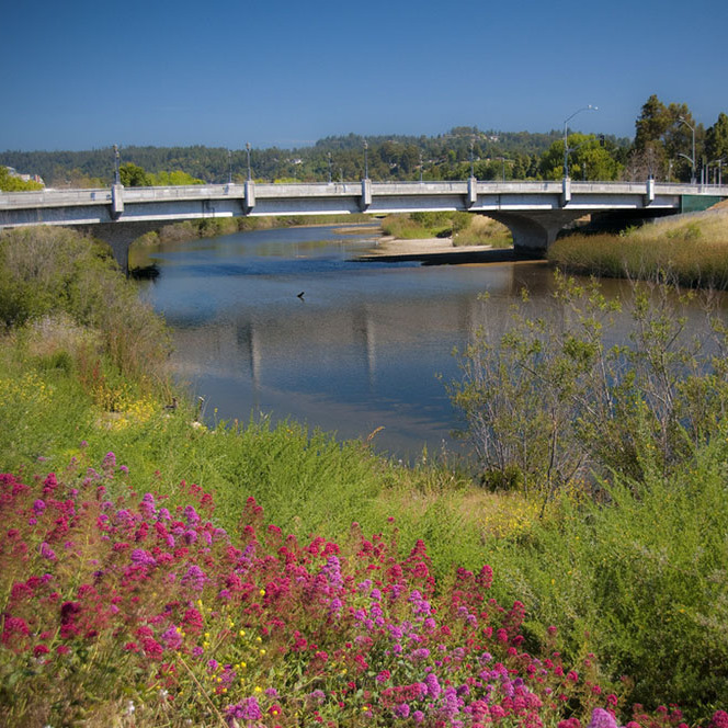 River Levee Cleanup @ San Lorenzo River - logo